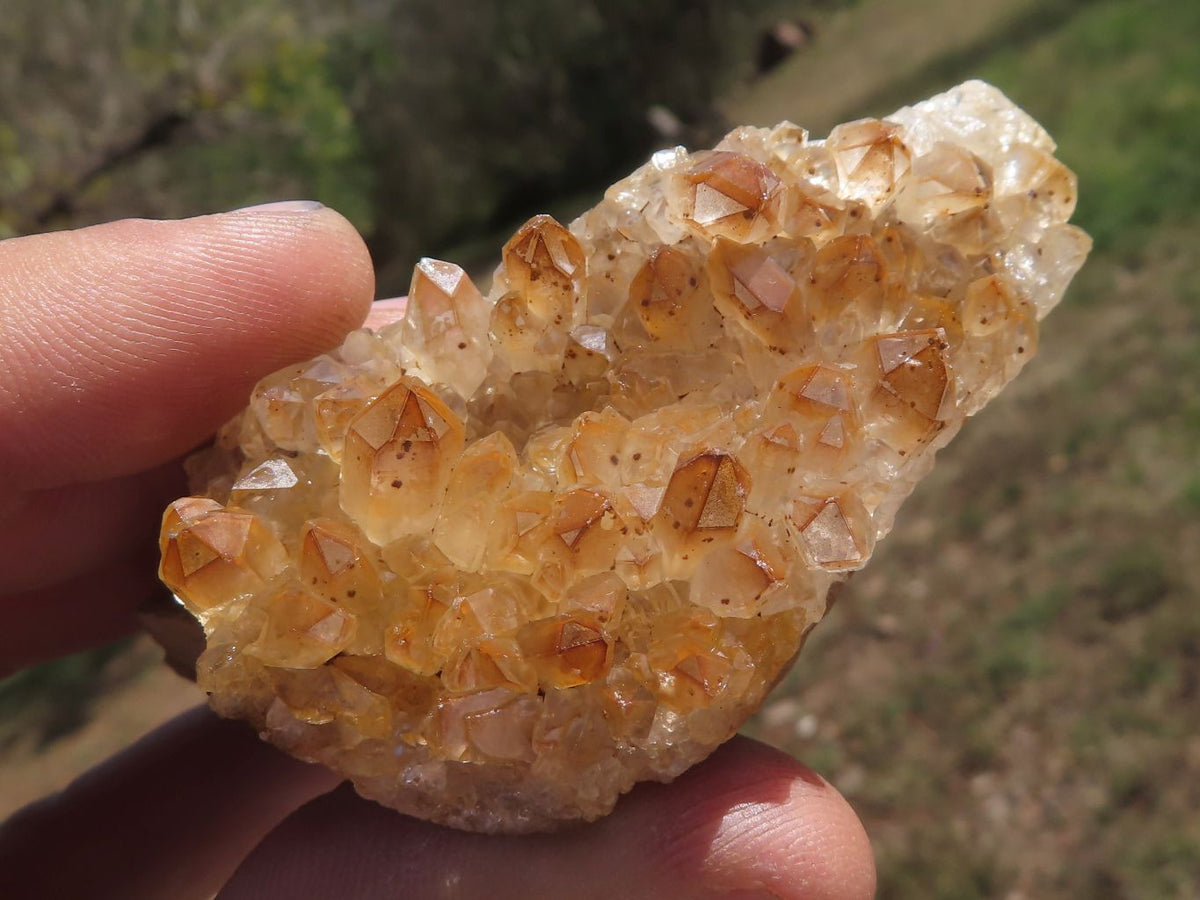Natural Small Golden Limonite / Lemonite Quartz Clusters x 24 From Solwezi, Zambia - TopRock