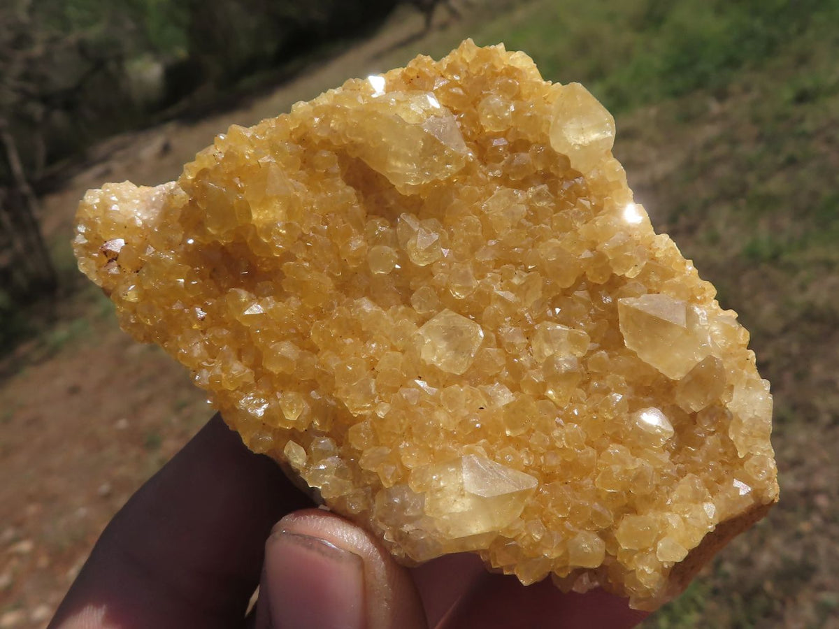 Natural Small Golden Limonite / Lemonite Quartz Clusters x 24 From Solwezi, Zambia - TopRock