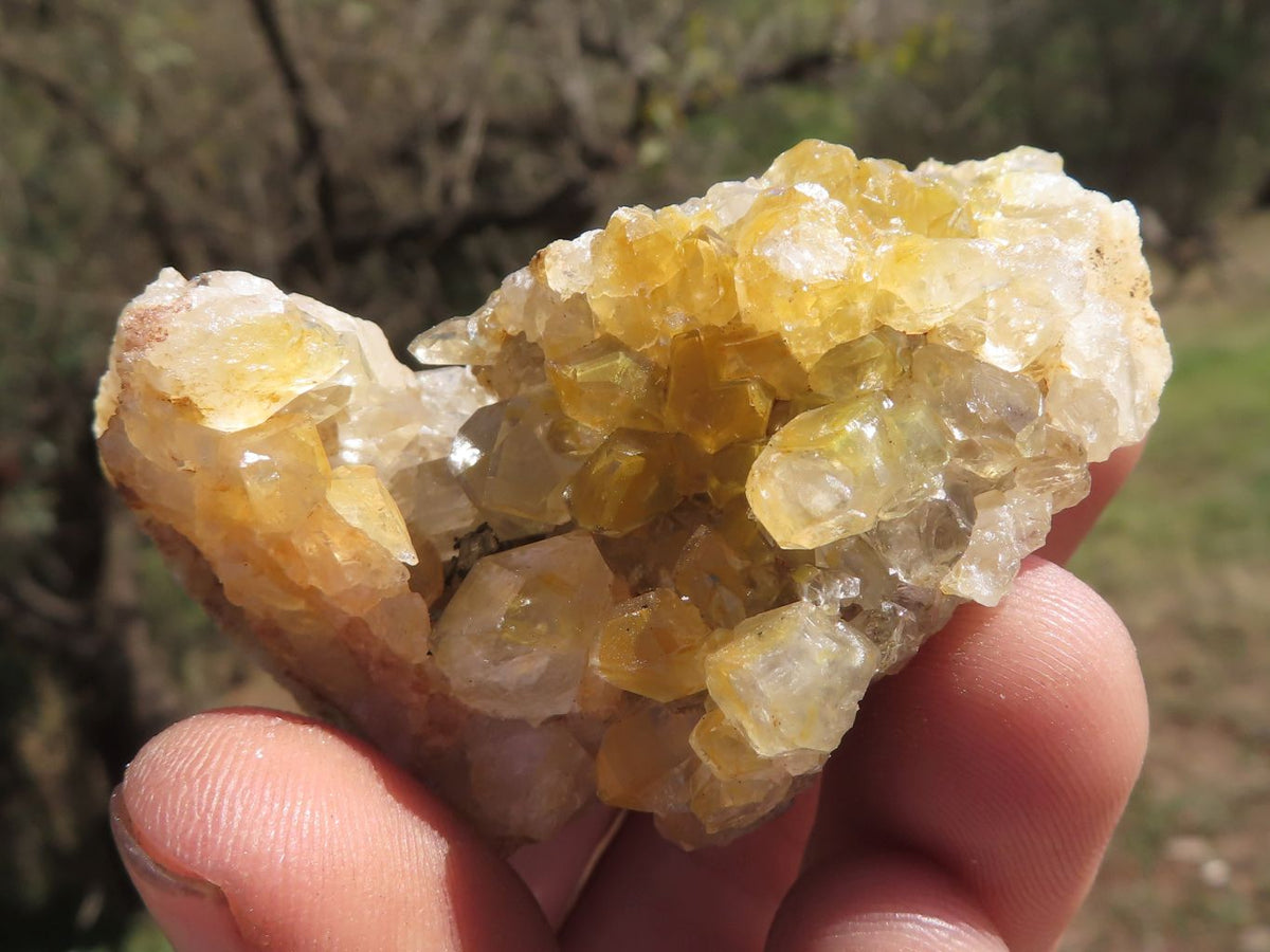 Natural Small Golden Limonite / Lemonite Quartz Clusters x 24 From Solwezi, Zambia - TopRock