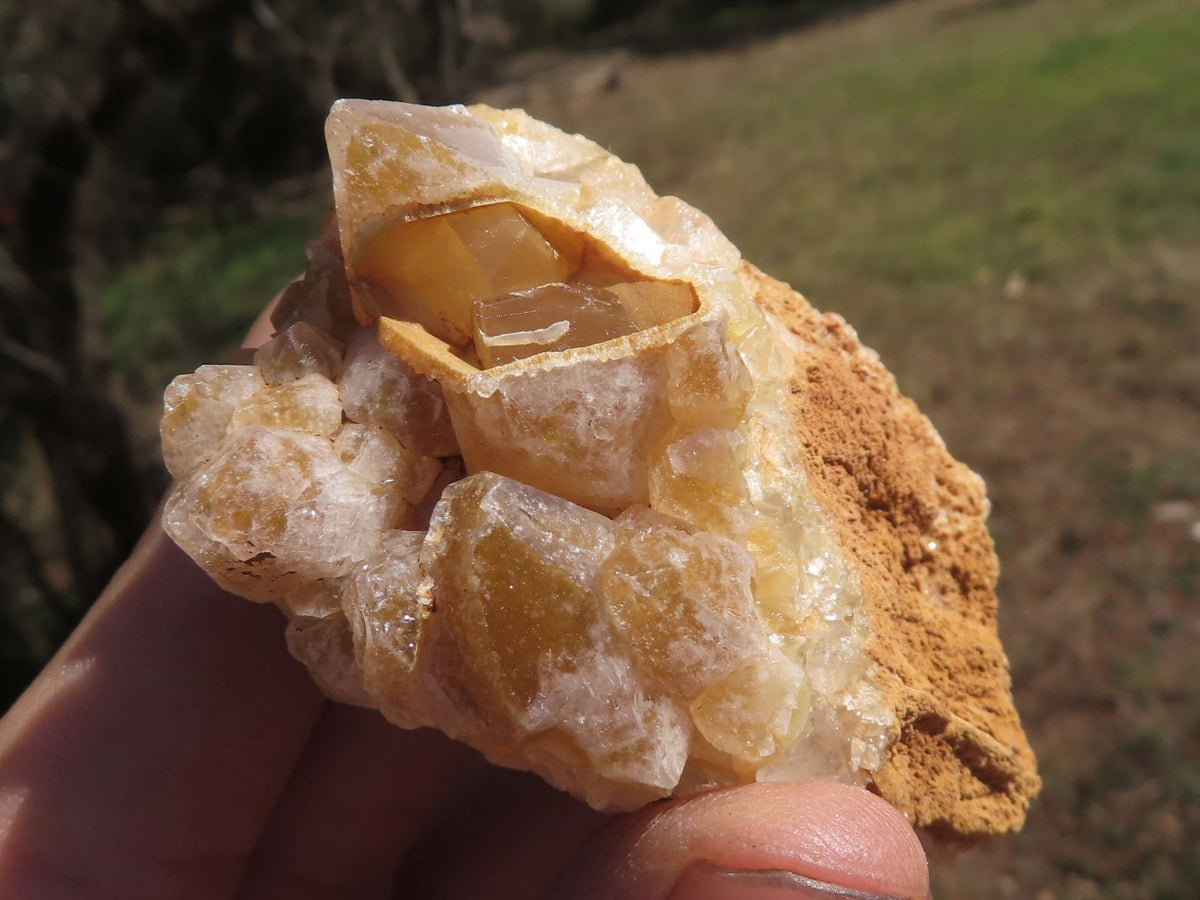 Natural Small Golden Limonite / Lemonite Quartz Clusters x 24 From Solwezi, Zambia - TopRock