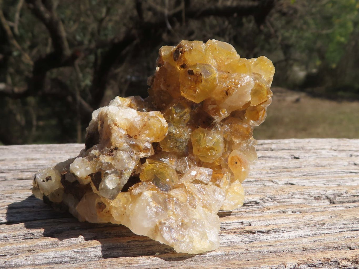 Natural Small Golden Limonite / Lemonite Quartz Clusters x 24 From Solwezi, Zambia - TopRock