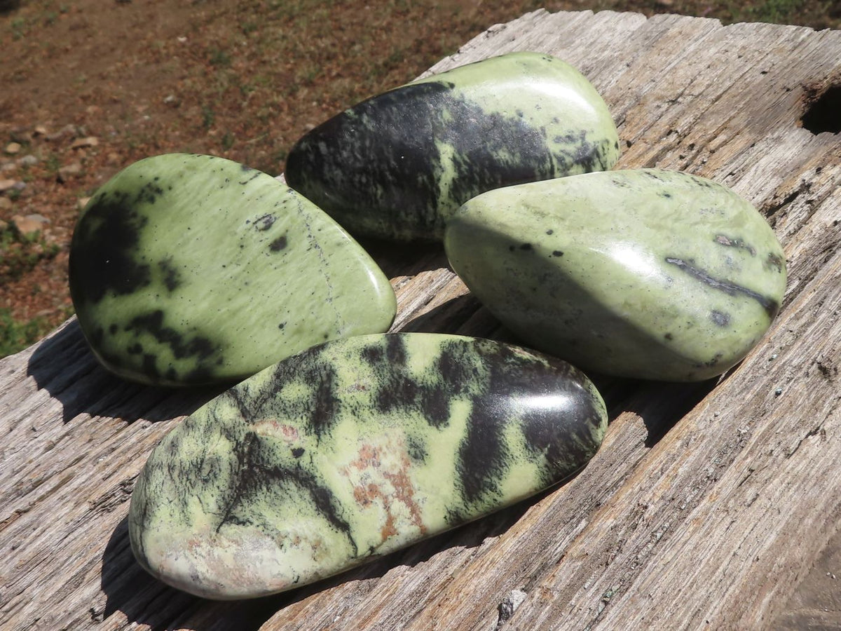 Polished Serpentine Leopard stone Free Forms x 4 From Zimbabwe - TopRock