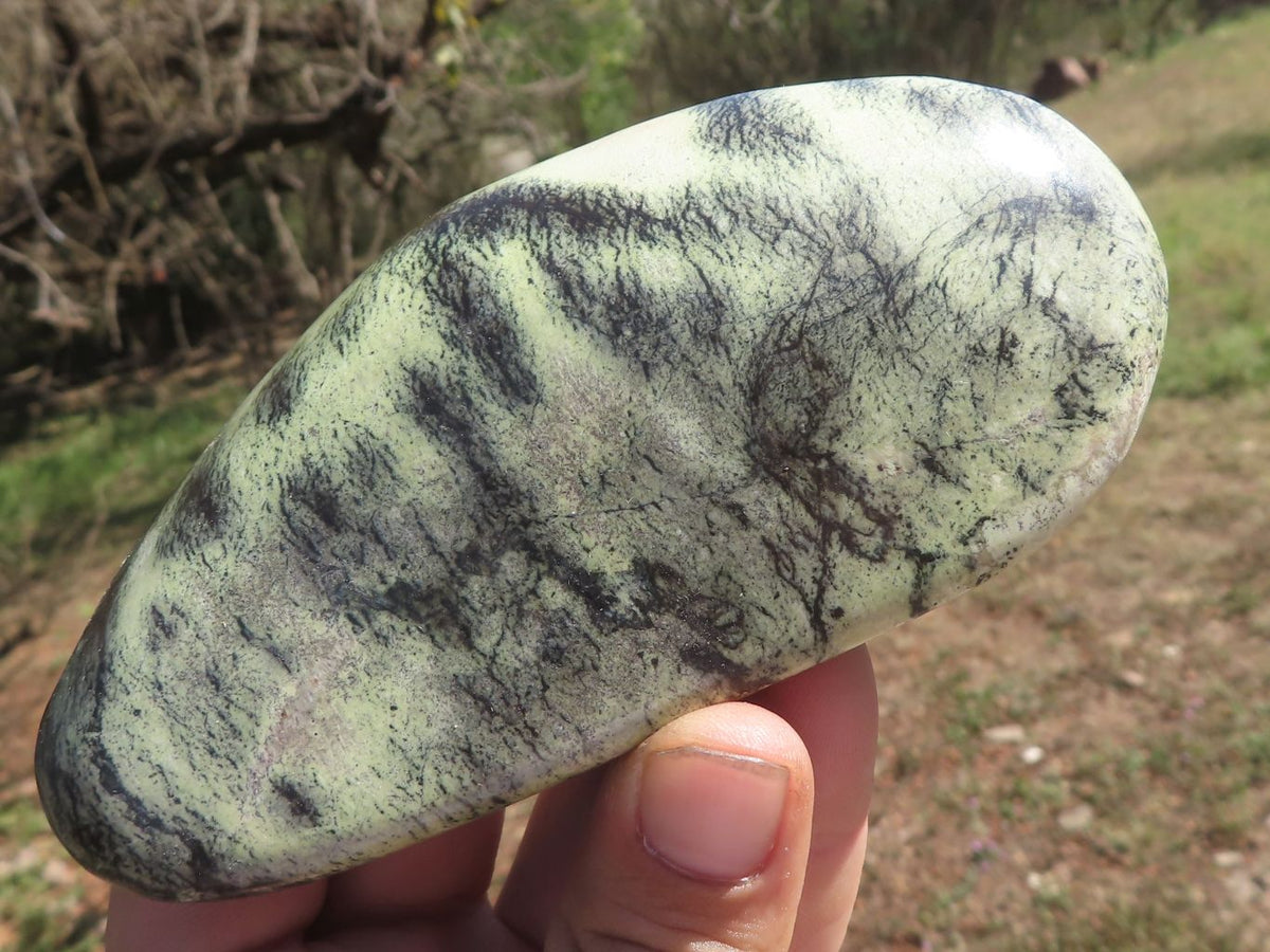 Polished Serpentine Leopard stone Free Forms x 4 From Zimbabwe - TopRock