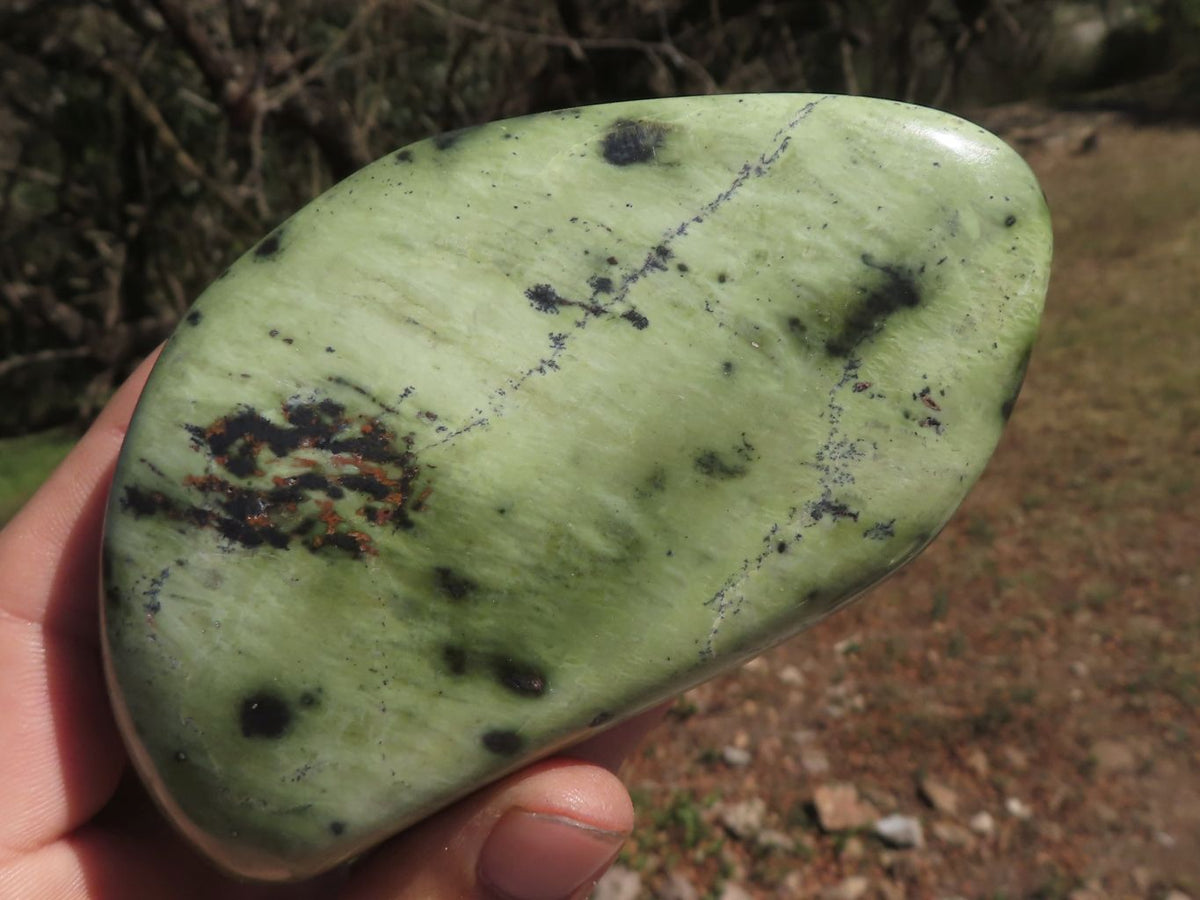 Polished Serpentine Leopard stone Free Forms x 4 From Zimbabwe - TopRock