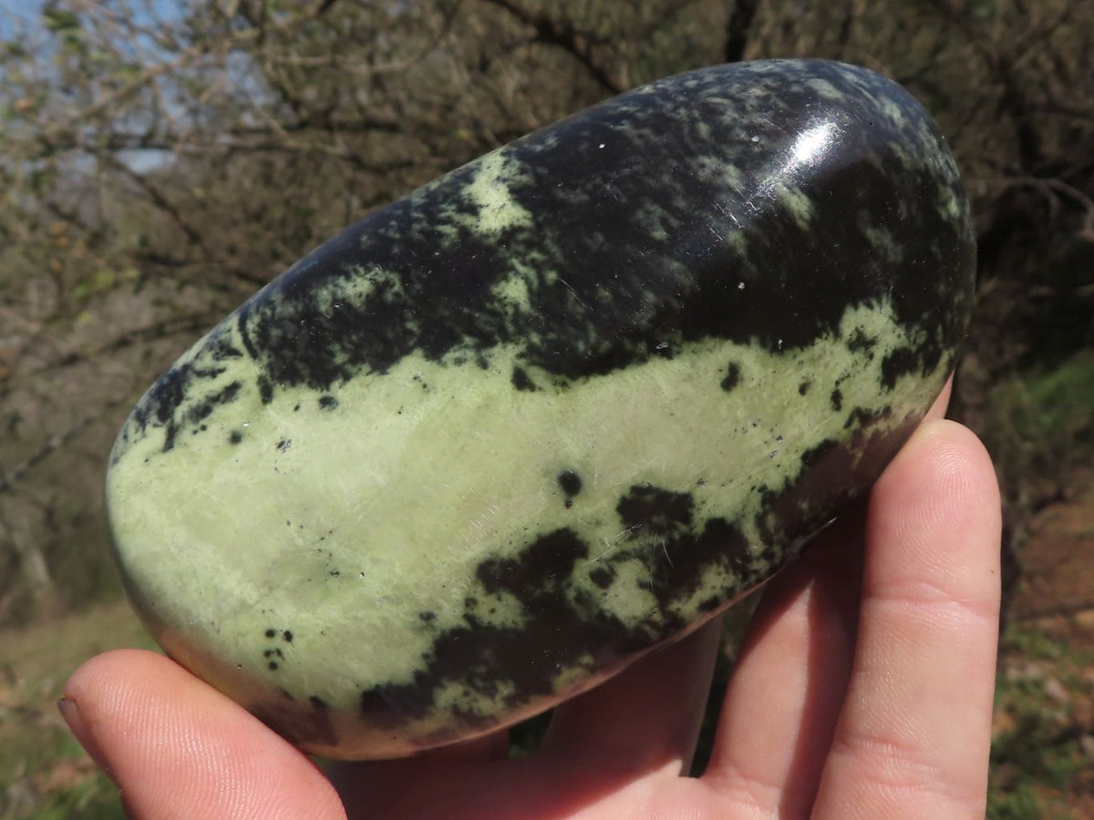 Polished Serpentine Leopard stone Free Forms x 4 From Zimbabwe - TopRock
