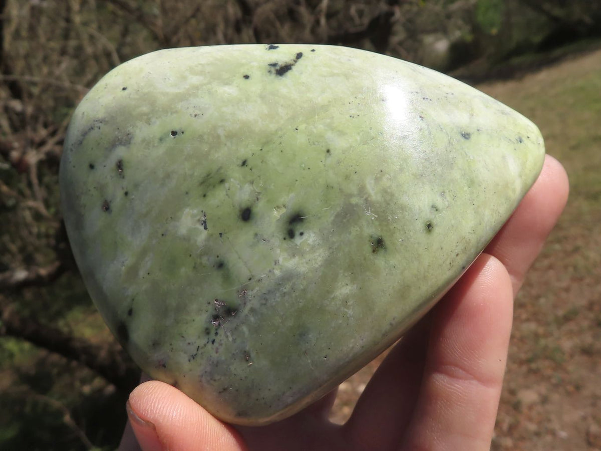 Polished Serpentine Leopard stone Free Forms x 4 From Zimbabwe - TopRock