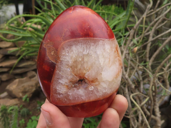 Polished Carnelian Agate Standing Free Forms  x 6 From Madagascar - TopRock