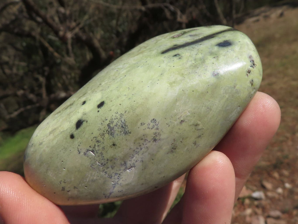 Polished Serpentine Leopard stone Free Forms x 4 From Zimbabwe - TopRock