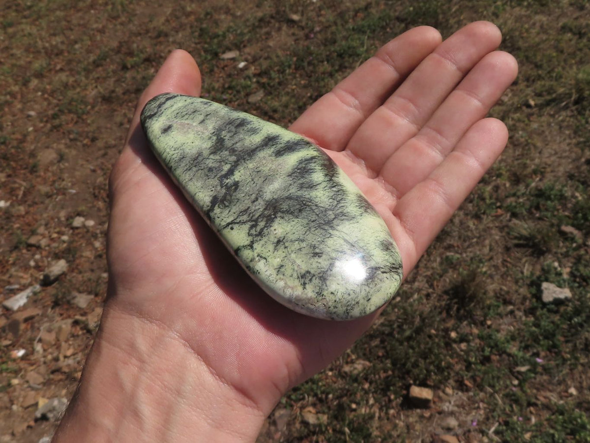 Polished Serpentine Leopard stone Free Forms x 4 From Zimbabwe - TopRock