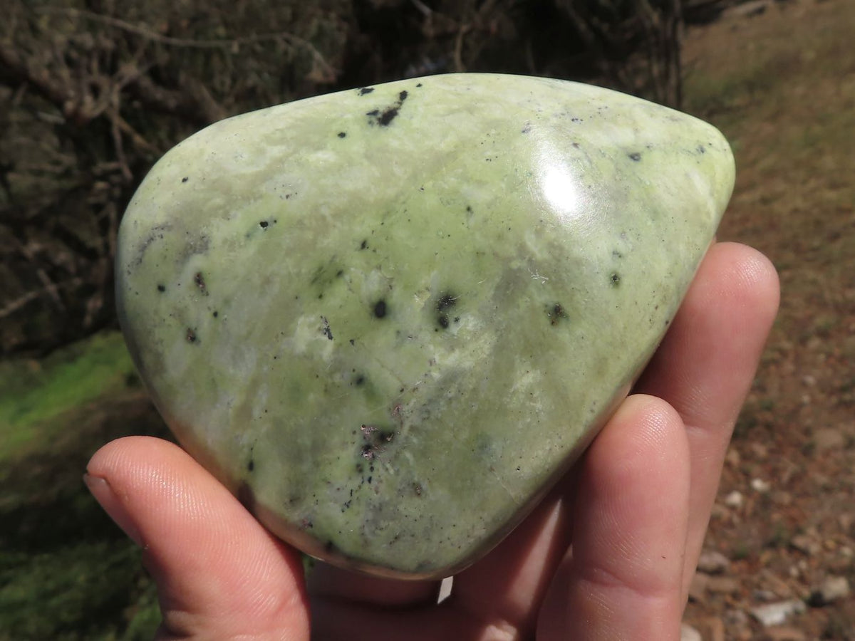 Polished Serpentine Leopard stone Free Forms x 4 From Zimbabwe - TopRock