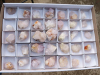 Natural White & Lilac Cactus Flower Spirit Quartz Specimens x 35 From Boekenhouthoek, South Africa - Toprock Gemstones and Minerals