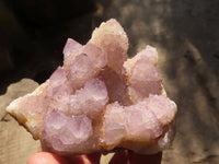 Natural Spirit Amethyst Quartz Clusters x 13 From Boekenhouthoek, South Africa - Toprock Gemstones and Minerals