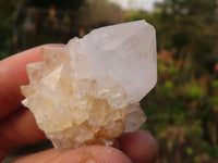 Natural White & Lilac Cactus Flower Spirit Quartz Specimens x 35 From Boekenhouthoek, South Africa - Toprock Gemstones and Minerals