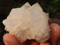 Natural White & Lilac Cactus Flower Spirit Quartz Specimens x 35 From Boekenhouthoek, South Africa - Toprock Gemstones and Minerals