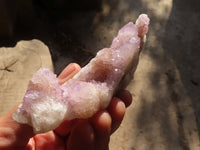 Natural Spirit Amethyst Quartz Clusters x 13 From Boekenhouthoek, South Africa - Toprock Gemstones and Minerals