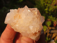 Natural White & Lilac Cactus Flower Spirit Quartz Specimens x 35 From Boekenhouthoek, South Africa - Toprock Gemstones and Minerals