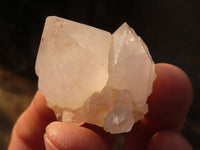 Natural White & Lilac Cactus Flower Spirit Quartz Specimens x 35 From Boekenhouthoek, South Africa - Toprock Gemstones and Minerals
