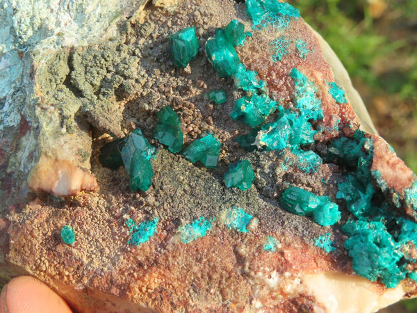 Natural Dioptase Dolomite Specimen With Large Emerald Green Crystals On Mottramite & Quartz Matrix  x 1 From Namibia - TopRock