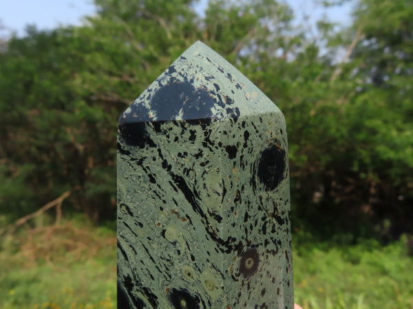 Polished Stromatolite Crystal Points x 2 From Madagascar - TopRock