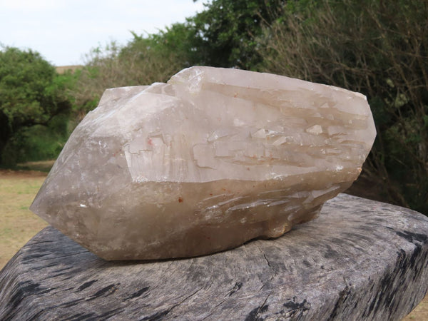 Polished XL Half Natural Pale Smokey Quartz Double Terminated Crystal x 1 From Angola - TopRock