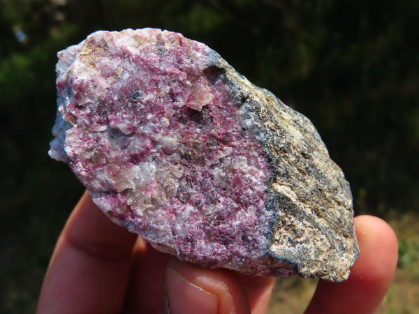 Natural Rubellite In Matrix Rough Pieces x 17 From Madagascar - TopRock