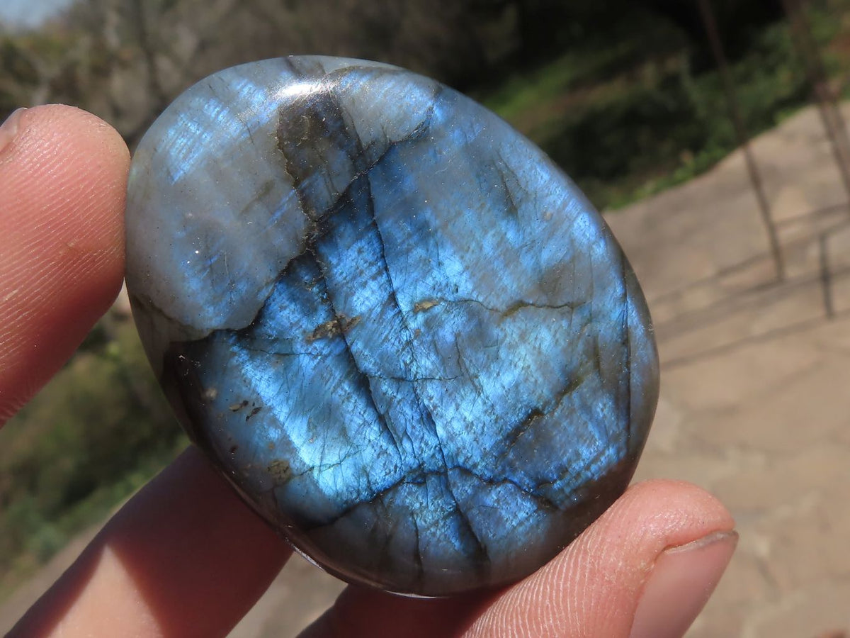 Polished Lovely Mixed Selection Of Palm Stones x 24 From Madagascar - TopRock