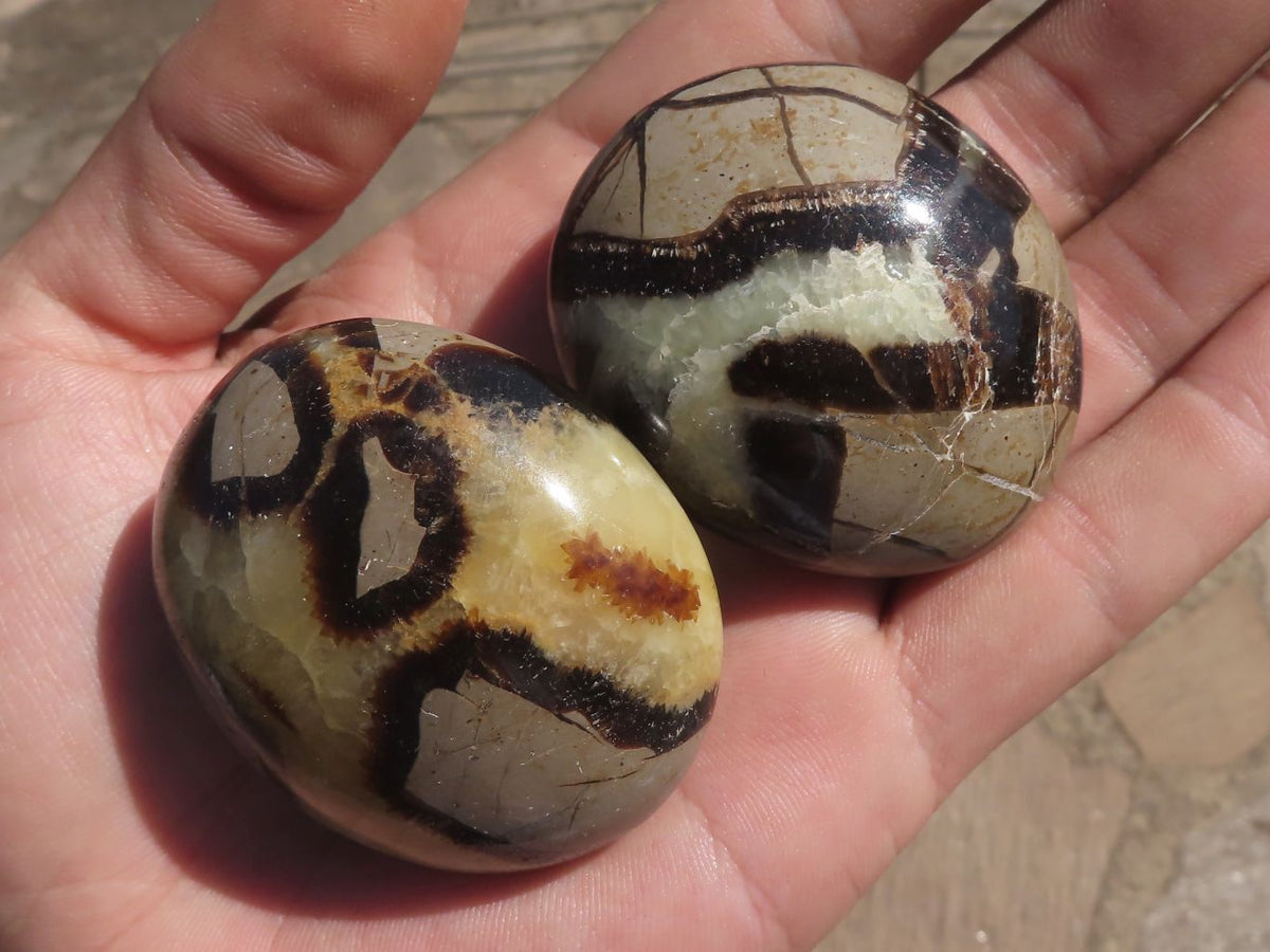 Polished Lovely Mixed Selection Of Palm Stones x 24 From Madagascar - TopRock