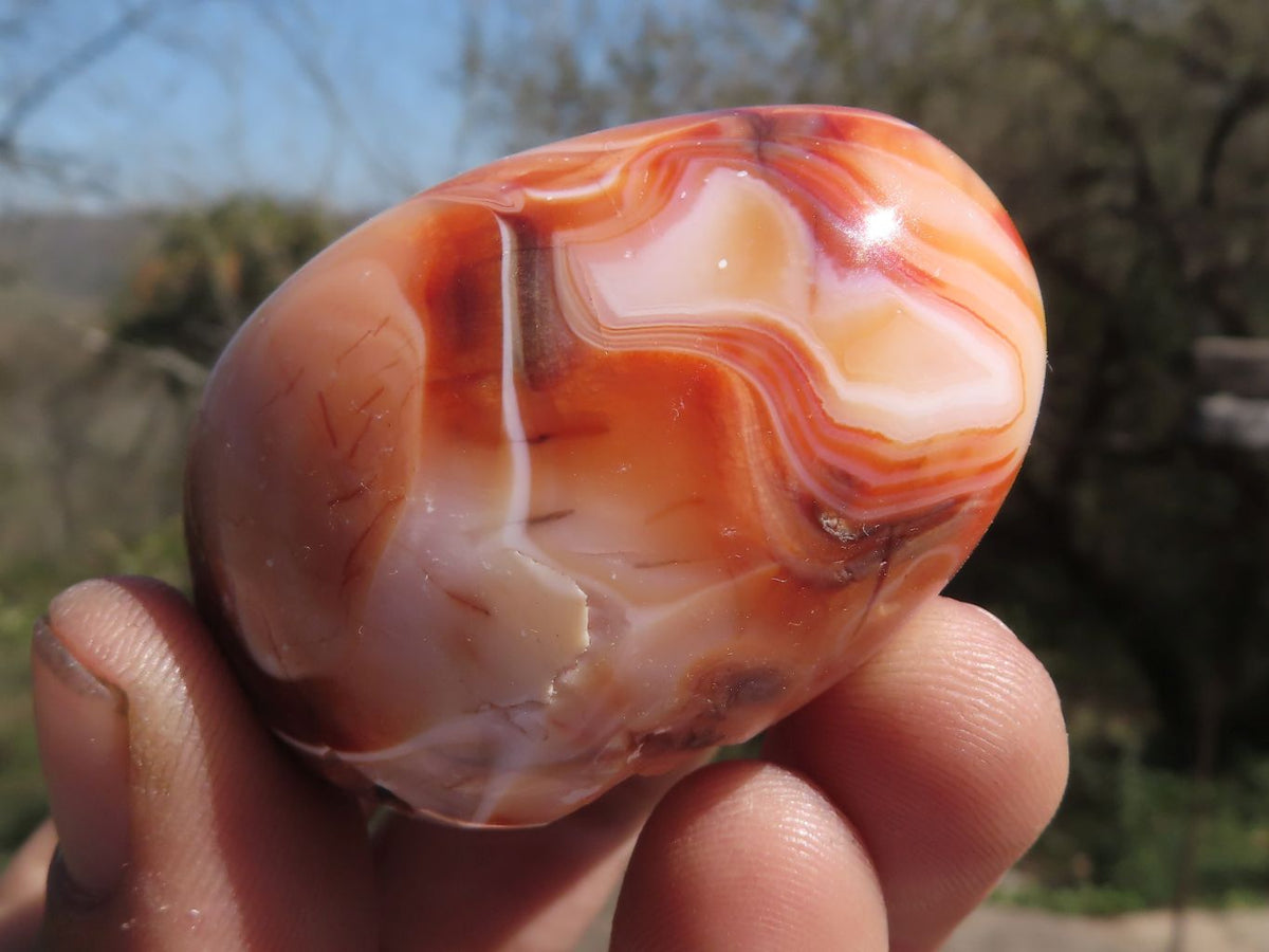 Polished Lovely Mixed Selection Of Palm Stones x 24 From Madagascar - TopRock