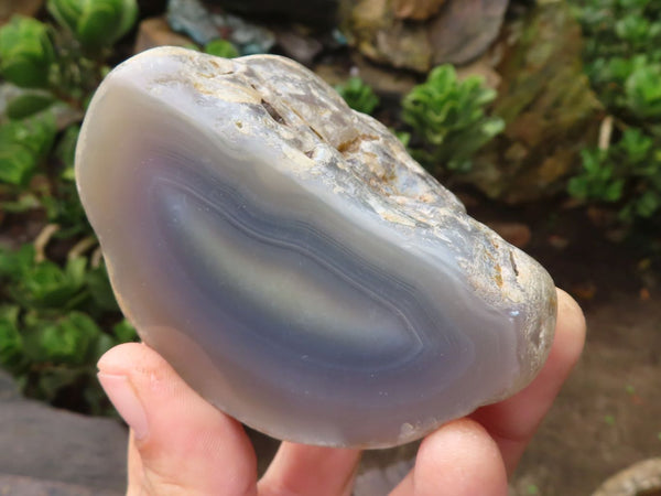 Polished Agate & Chalcedony Pieces  x 12 From Zimbabwe - Toprock Gemstones and Minerals 