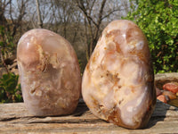 Polished Ocean Flower Agate Standing Free Forms  x 3 From Madagascar - Toprock Gemstones and Minerals