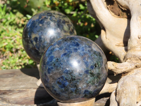 Polished Rare Iolite Water Sapphire Spheres x 2 From Madagascar - TopRock