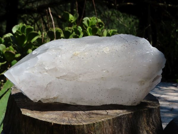 Natural/Polished Massive & Rare Pentium Quartz Crystal With Silver Specular Hematite Disks Inclusions & Frosty Surface x 1 From Mozambique - TopRock