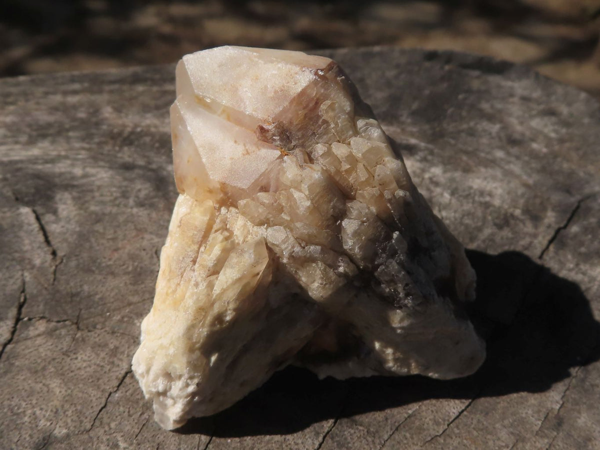 Natural Single Pineapple Quartz Crystals x 35 From Antsirabe, Madagascar - TopRock