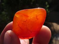 Polished  Carnelian Agate Tumble Stones  x 1 Kg Lot From Madagascar - Toprock Gemstones and Minerals
