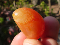 Polished  Carnelian Agate Tumble Stones  x 1 Kg Lot From Madagascar - Toprock Gemstones and Minerals
