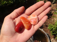 Polished  Carnelian Agate Tumble Stones  x 1 Kg Lot From Madagascar - Toprock Gemstones and Minerals