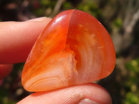 Polished  Carnelian Agate Tumble Stones  x 1 Kg Lot From Madagascar - Toprock Gemstones and Minerals