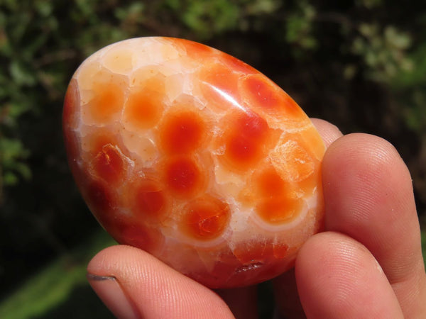 Polished Vibrant Red Carnelian Gallets / Palm Stones x 20 From Madagascar - TopRock