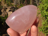 Polished Gemmy Rose Quartz Standing Free Forms x 6 From Madagascar - Toprock Gemstones and Minerals