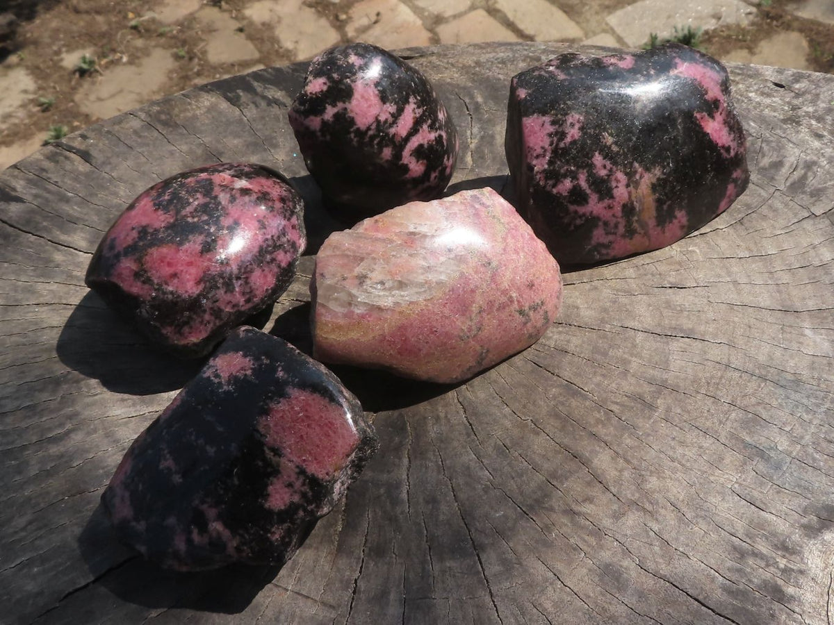 Polished One Side Polished Rhodonite Free Forms x 5 From Ambatondrazaka, Madagascar - TopRock