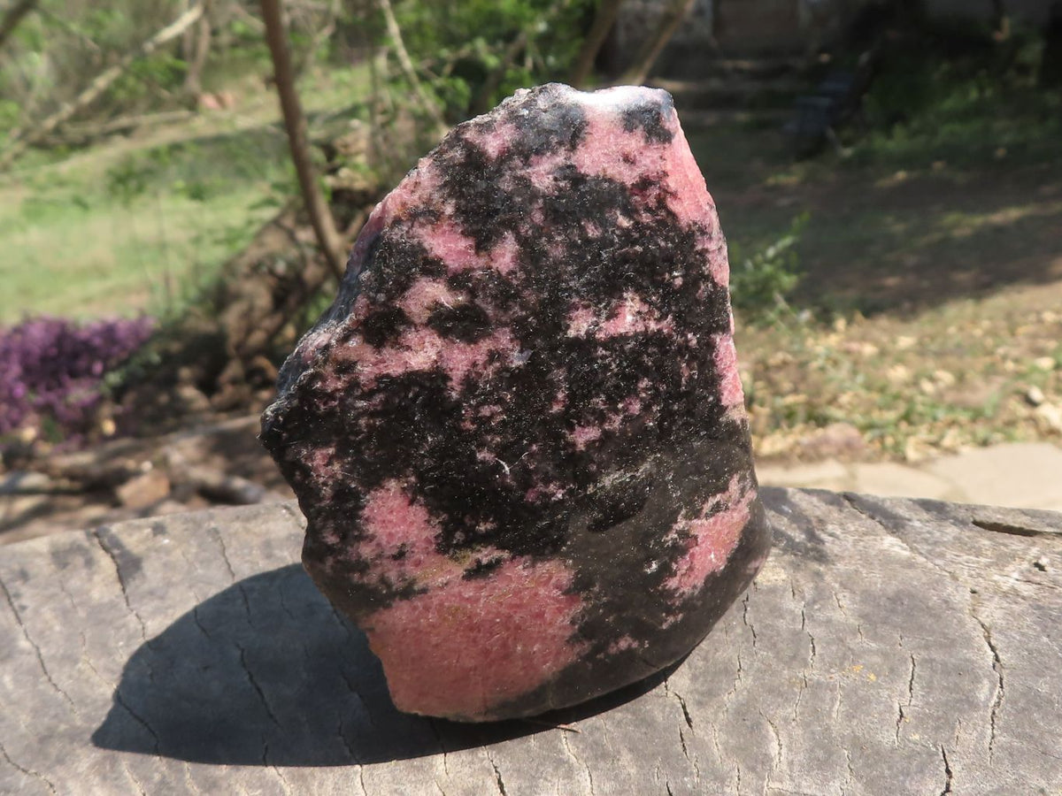 Polished One Side Polished Rhodonite Free Forms x 5 From Ambatondrazaka, Madagascar - TopRock