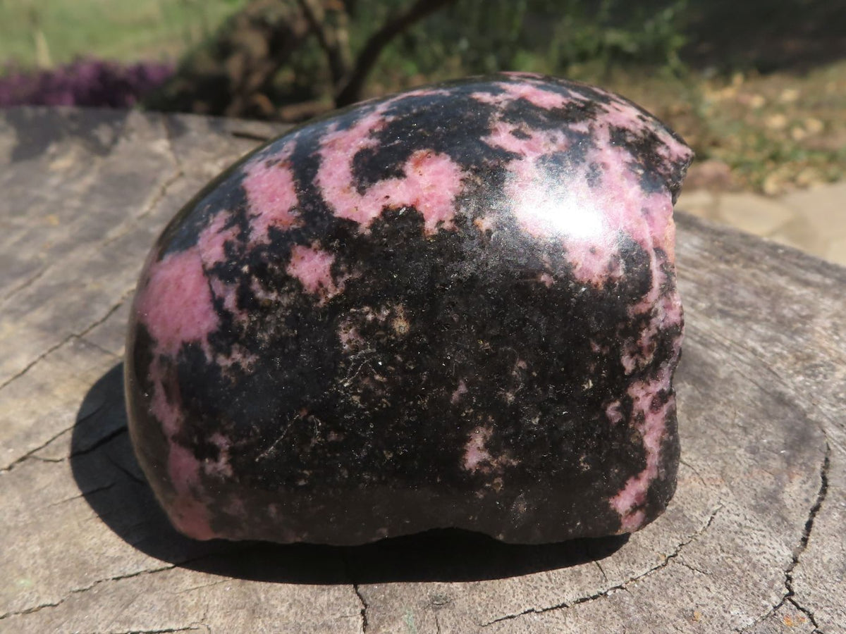 Polished One Side Polished Rhodonite Free Forms x 5 From Ambatondrazaka, Madagascar - TopRock