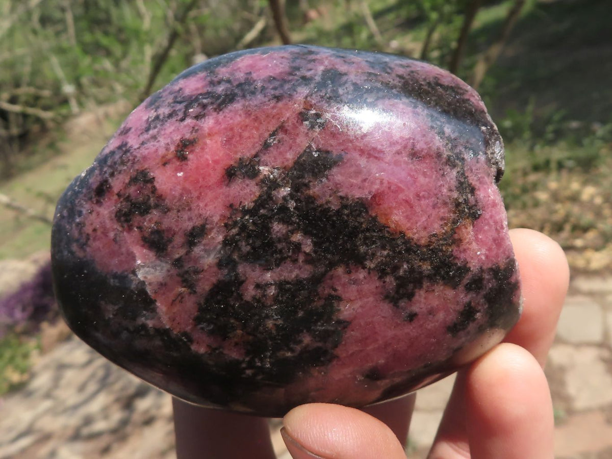 Polished One Side Polished Rhodonite Free Forms x 5 From Ambatondrazaka, Madagascar - TopRock