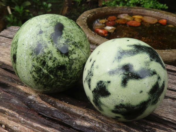Polished Leopard Stone Spheres  x 2 From Zimbabwe - Toprock Gemstones and Minerals 