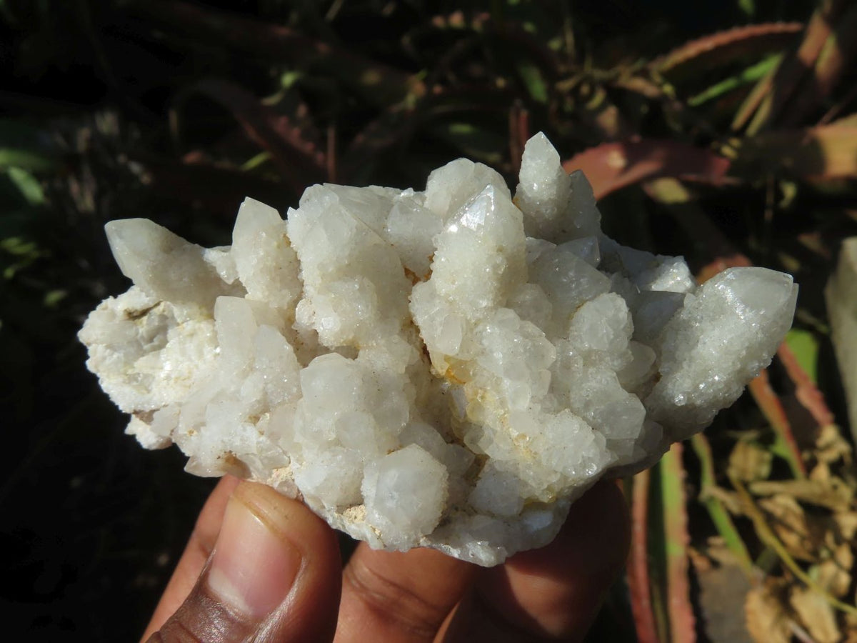 Natural White/ Limonite Spirit Quartz Clusters x 10 From Boekenhouthoek, South Africa - TopRock
