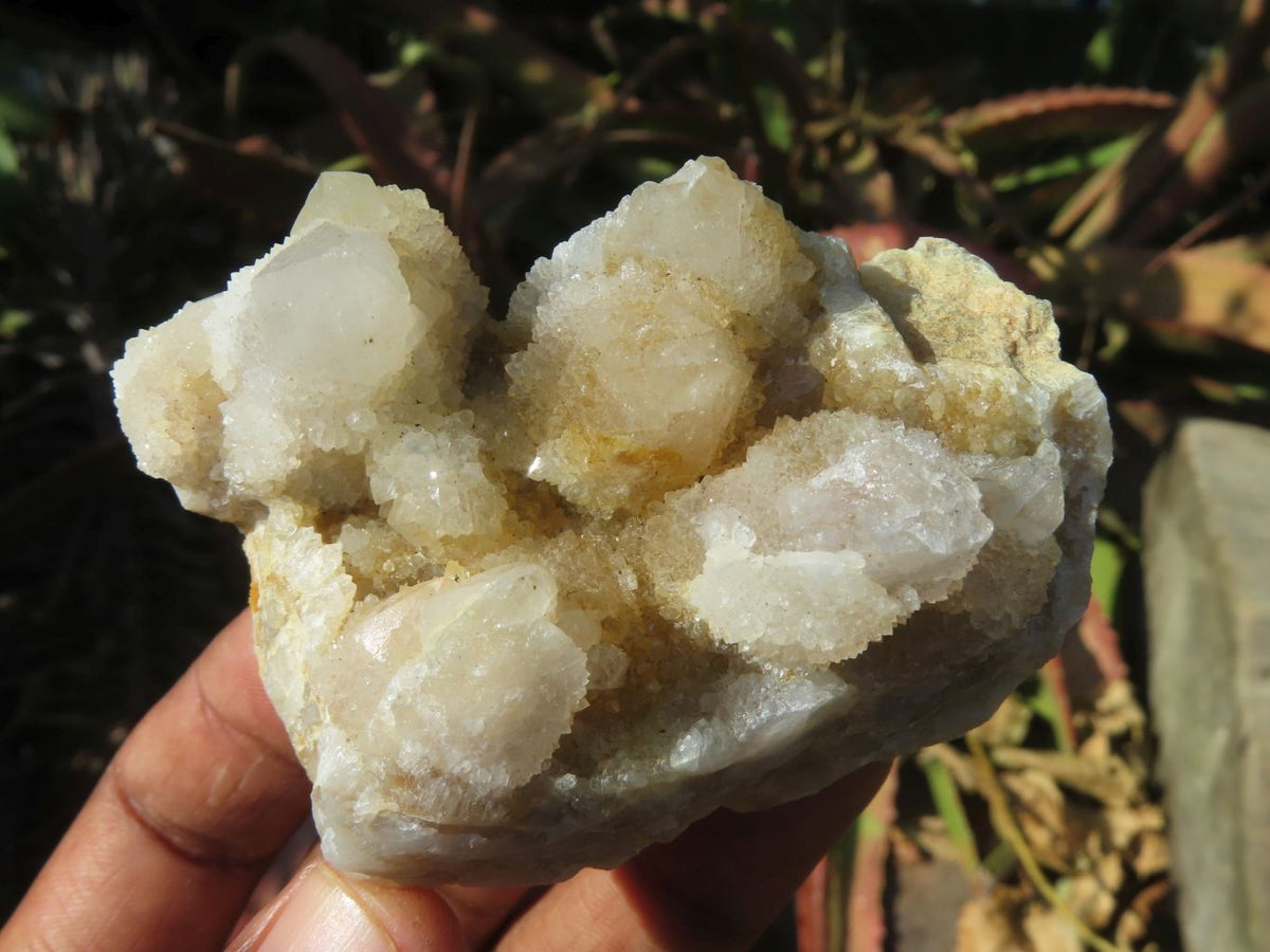 Natural White/ Limonite Spirit Quartz Clusters x 10 From Boekenhouthoek, South Africa - TopRock