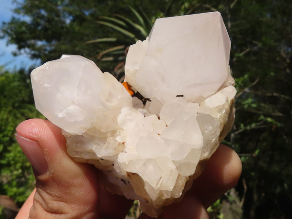 Natural Pineapple Candle Quartz Crystals & Clusters  x 12 From Madagascar - TopRock