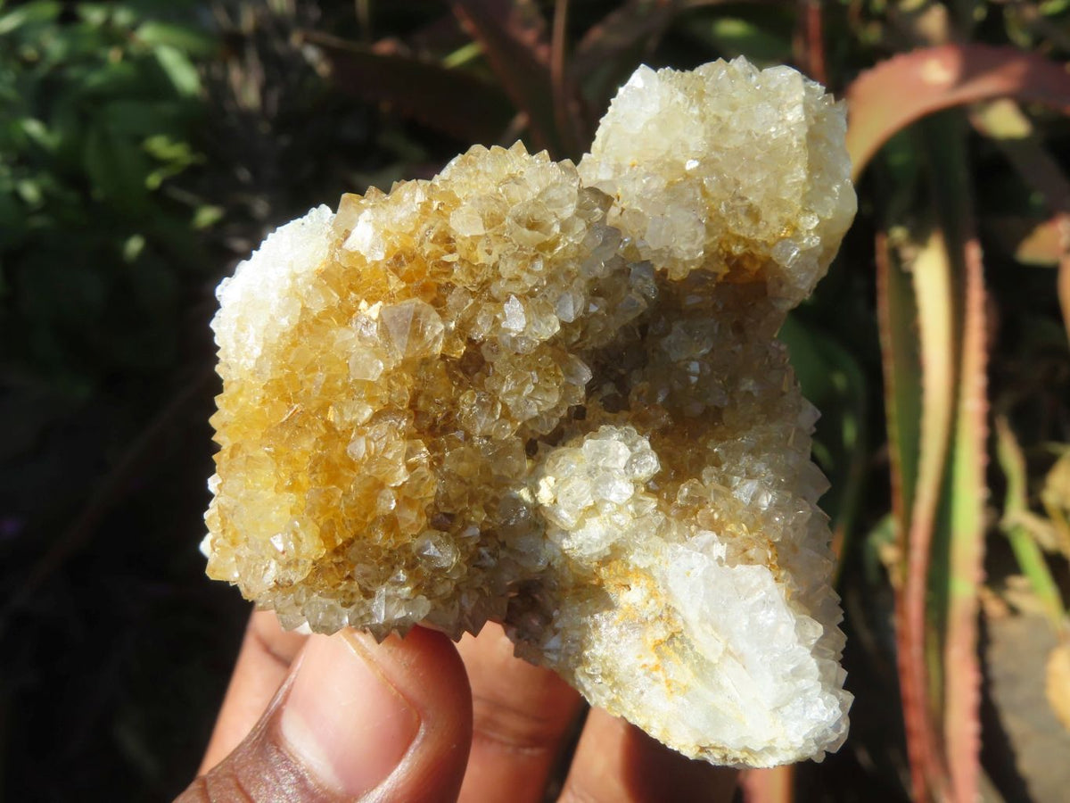 Natural White/ Limonite Spirit Quartz Clusters x 10 From Boekenhouthoek, South Africa - TopRock