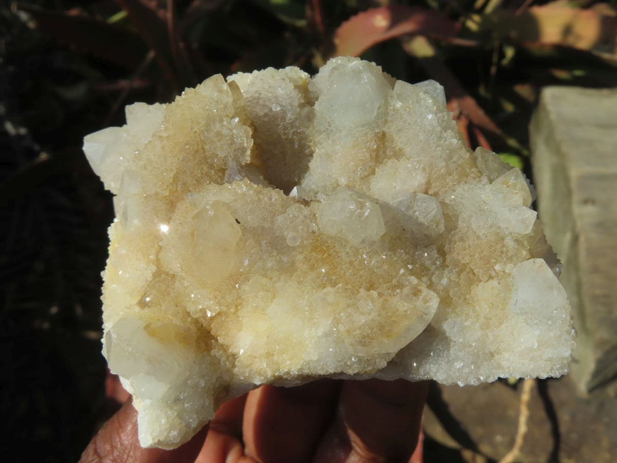 Natural White/ Limonite Spirit Quartz Clusters x 10 From Boekenhouthoek, South Africa - TopRock