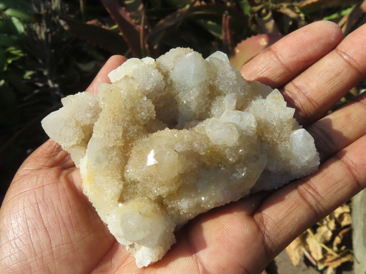 Natural White/ Limonite Spirit Quartz Clusters x 10 From Boekenhouthoek, South Africa - TopRock